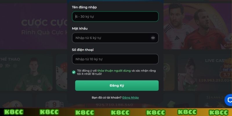 Nhập thông tin vào biểu mẫu đăng ký k8cc